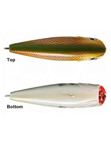 Bass Pro Shops Popper XTS Speed Bass Pro Shops Popper XTS Speed