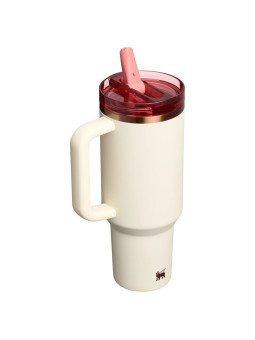 Termo Stanley Quencher ProTour