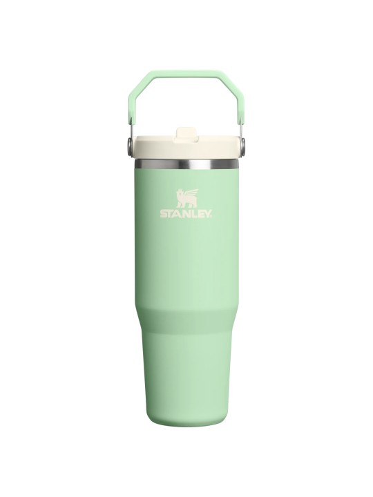 Termo Stanley IceFlow Flip Straw Tumbler 2.0